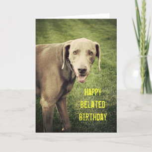 Weimaraner Funny Belet Birthday Card Kort