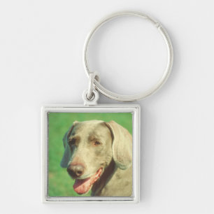 Weimaraner Fyrkantig Silverfärgad Nyckelring