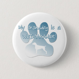 Weimaraner Granddog Knapp