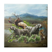 Weimaraner, "Grått Ghost"