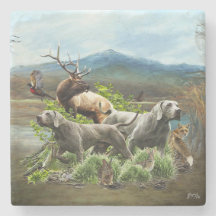 Weimaraner, "Grått Ghost"