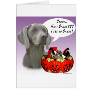 Weimaraner Halloween Candy Hälsningskort