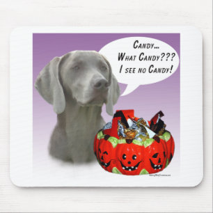 Weimaraner Halloween Candy Musmatta