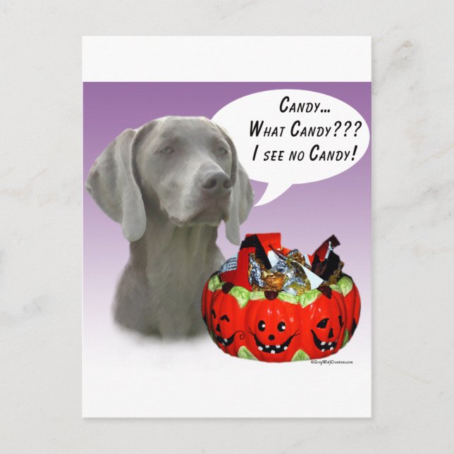 Weimaraner Halloween Candy Vykort (Framsida)
