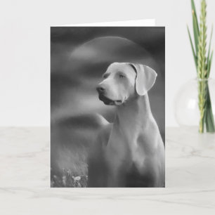 Weimaraner hälsningkort kort