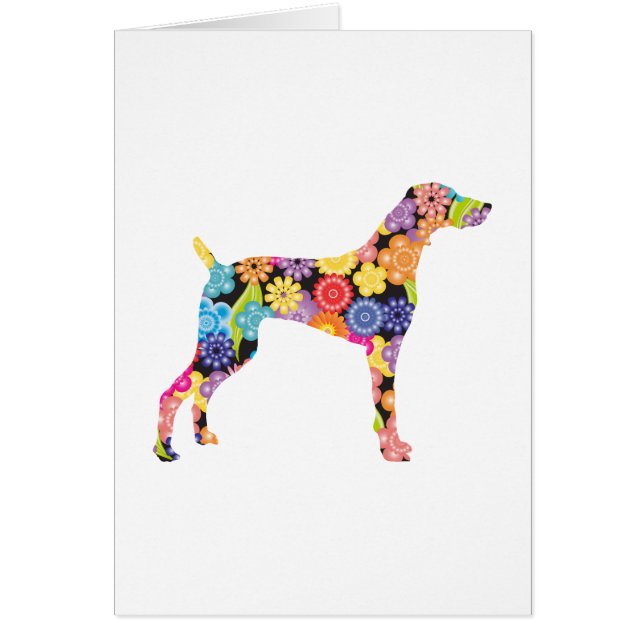 Weimaraner Hälsningskort (Framsidan)