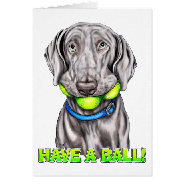 Weimaraner har Boll Hälsningskort (Framsidan)