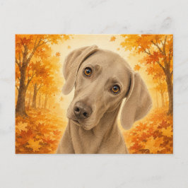 Weimaraner Höstskogs Hund Vykort