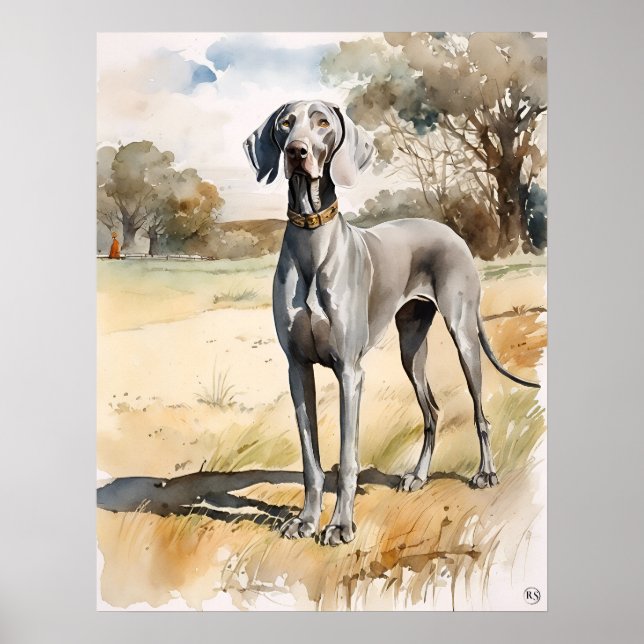 Weimaraner - Hund Art-utskrift Poster (Framsidan)