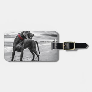Weimaraner Hund Bagagebricka