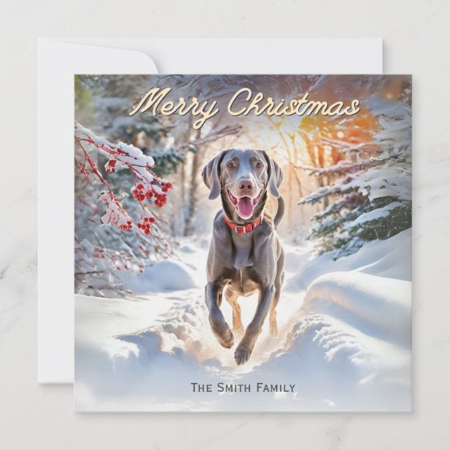 Weimaraner Hund i Snö God jul Julkort (Framsida)