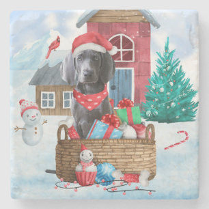 Weimaraner Hund i snö julhus Hund House Stenunderlägg
