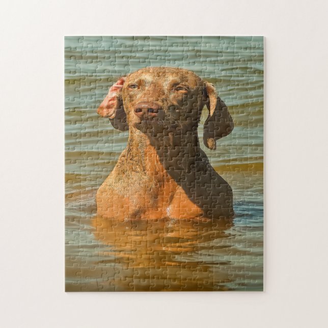 Weimaraner Hund Jigsaws. Pussel (Vertikal)