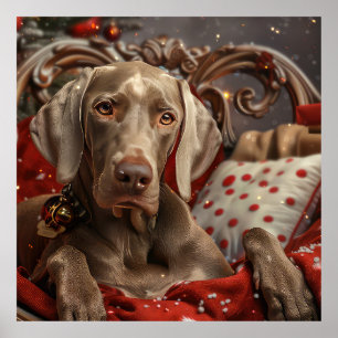 Weimaraner Hund Jul Festlig Poster