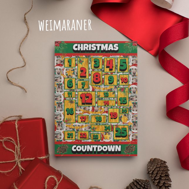 Weimaraner Hund Julkalender Adventskalender Julkort (Skapare uppladdad)