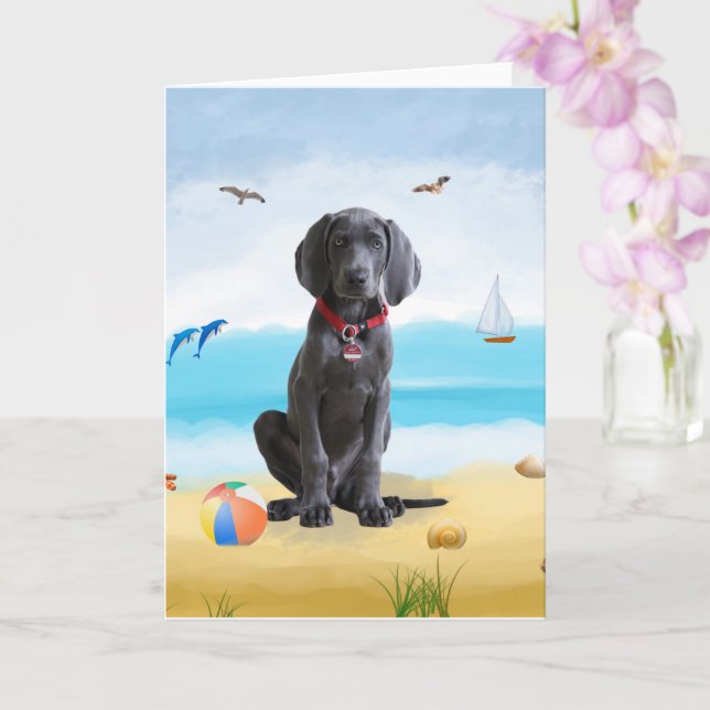 weimaraner Hund på Beach Kort (Orkide)