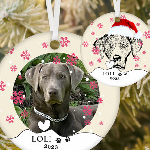 Weimaraner Hund Personlig Hand Teckning Julgransprydnad Keramik