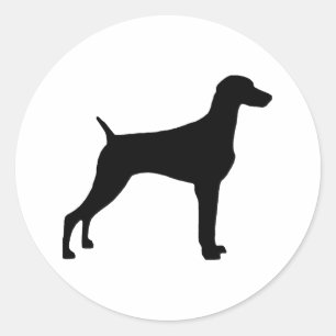 Weimaraner Hund (svart) Runt Klistermärke