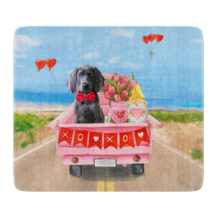 Weimaraner Hund Valentine Day Lastbil Hearts