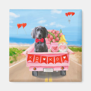 Weimaraner Hund Valentine Day Lastbil Hearts Magnet