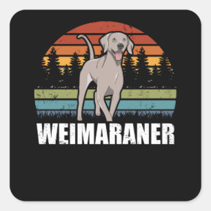 Weimaraner   Hundägare Weimaraners Fyrkantigt Klistermärke