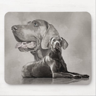 Weimaraner Hundar Collage #2 Musmatta