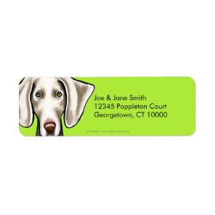 Weimaraner hundoliv returadress etikett