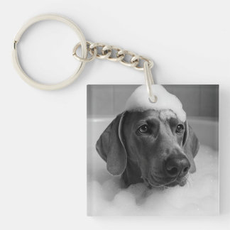 Weimaraner i badet med bubblor på huvudet