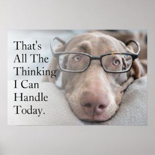 Weimaraner in Smart Glass Poster