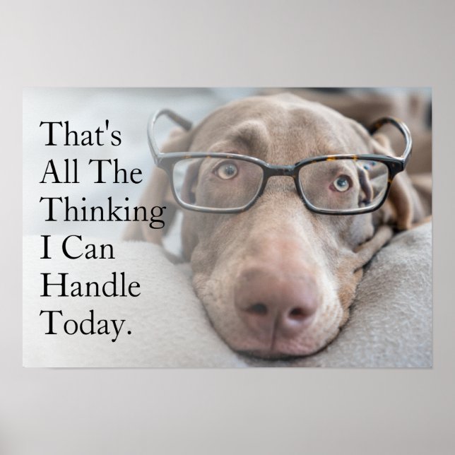 Weimaraner in Smart Glass Poster (Framsidan)