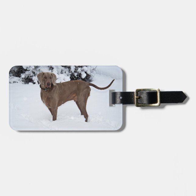 Weimaraner in Winter Bagagebricka (Horisontell Framsida)