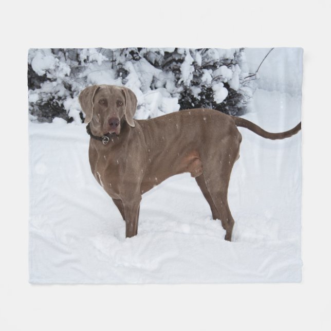 Weimaraner in Winter Fleecefilt (Framsidan (Horisontell))
