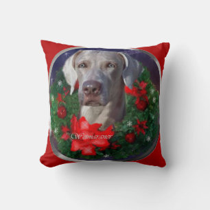 Weimaraner-jul Kudde