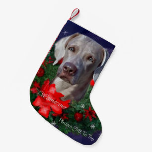 Weimaraner jul liten julstrumpa