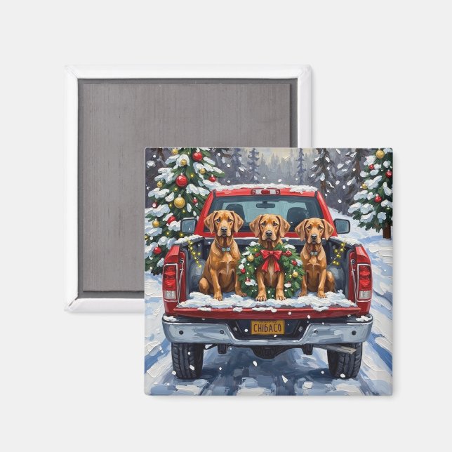 Weimaraner jul röd lastbil semester magnet (Front/Back)