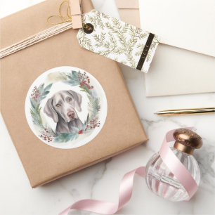 Weimaraner jul Utandning Festive Valp Runt Klistermärke