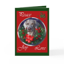 Weimaraner julgåvor