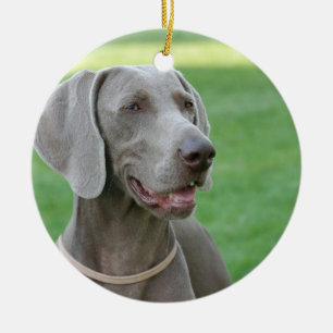 Weimaraner Julgransprydnad Keramik