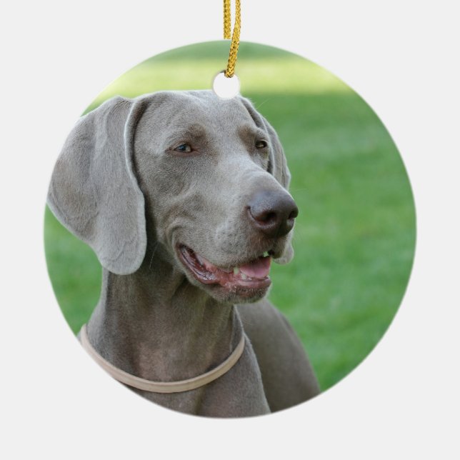 Weimaraner Julgransprydnad Keramik (Framsidan)