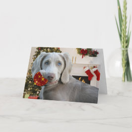 Weimaraner-julhälsningar Helgkort