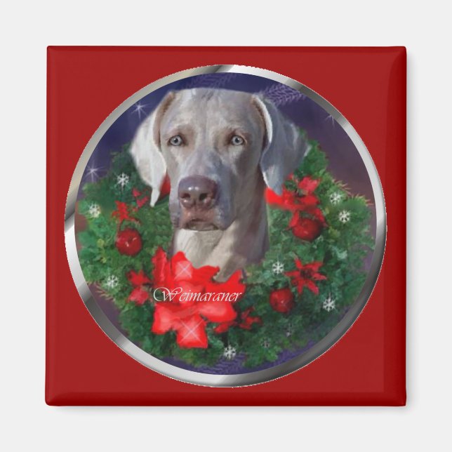 Weimaraner-julklappar Magnet (Framsidan)