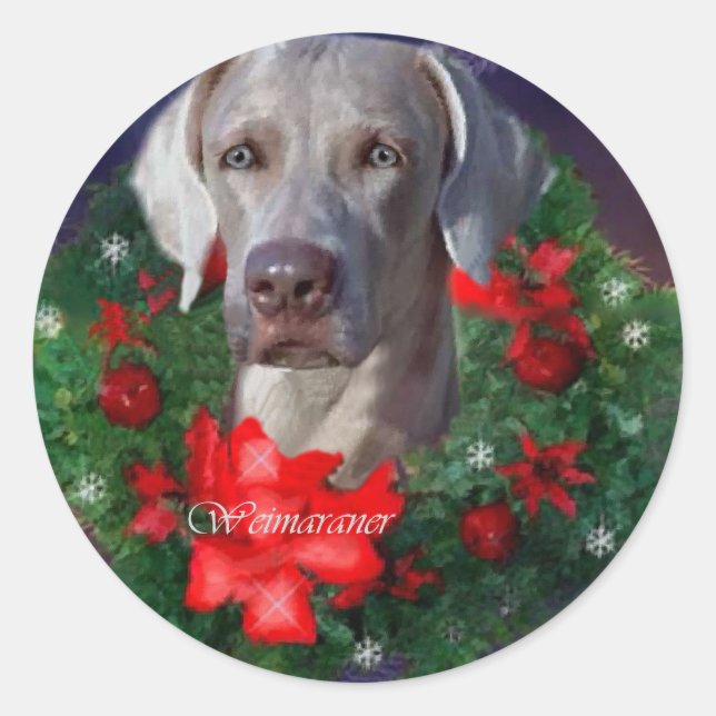 Weimaraner-julklappar Runt Klistermärke (Framsida)
