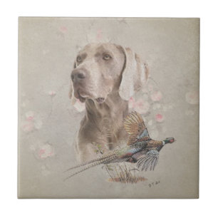 Weimaraner Kakelplatta