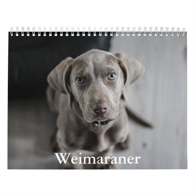 Weimaraner Kalender (Omslag)