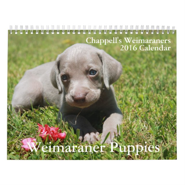 Weimaraner kalender (Omslag)