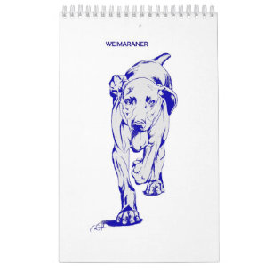 Weimaraner kalender vid Candra