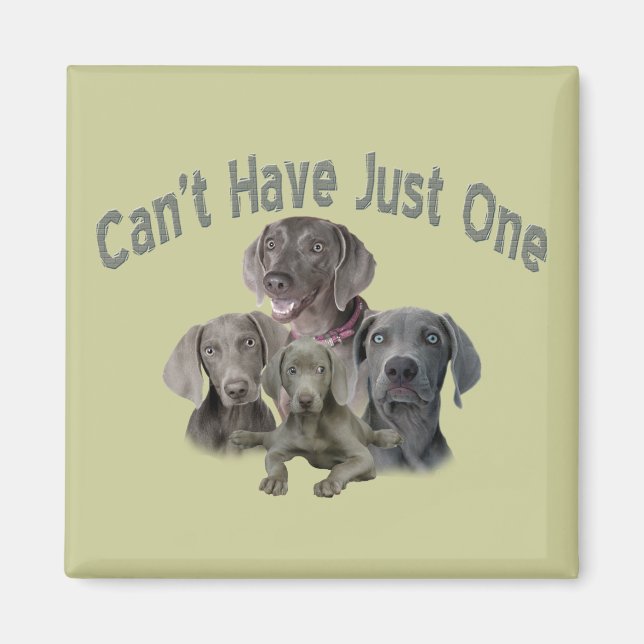 Weimaraner kan inte bara ha en magnet (Framsidan)