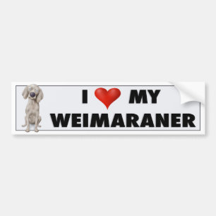 Weimaraner kärlekklistermärke bildekal