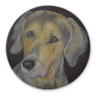 Weimaraner Knopp