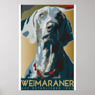 Weimaraner konstDecember affisch